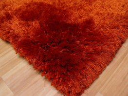 Plush Rust Shaggy Rug